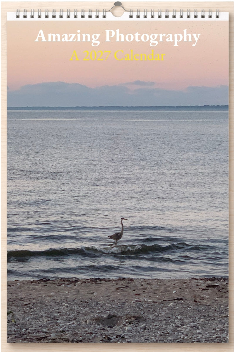 Amazing Photography: A 2027 Calendar
