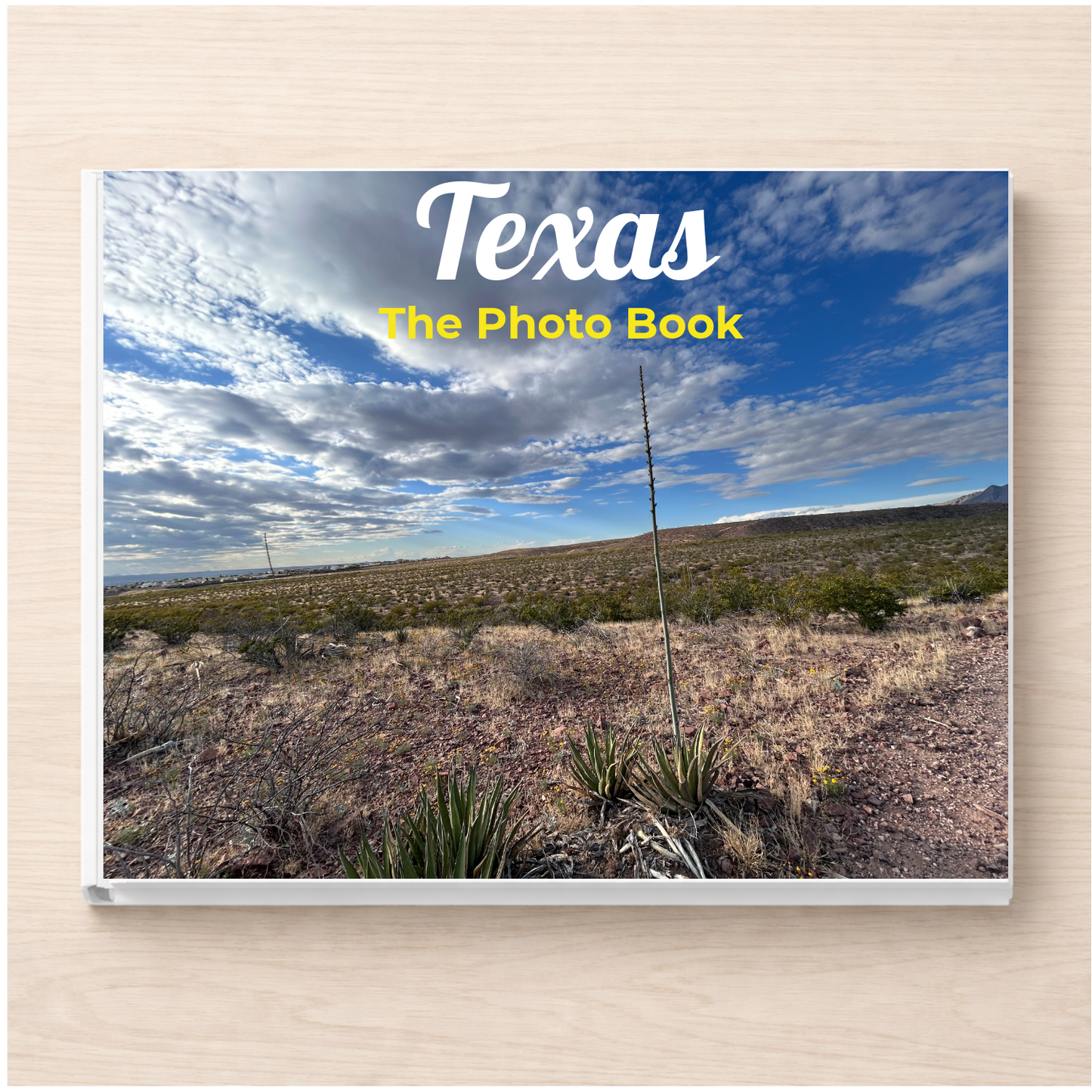 Texas: The Photo Book