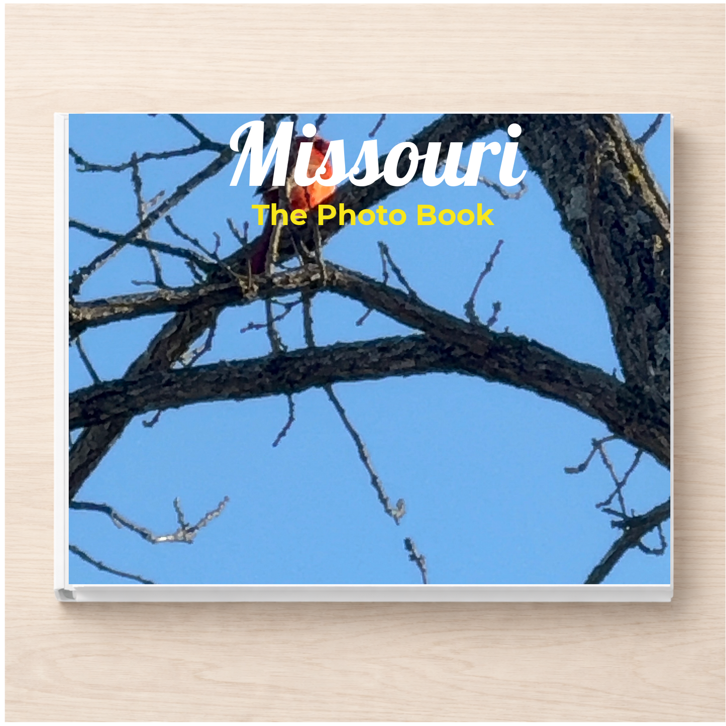 Missouri: The Photo Book