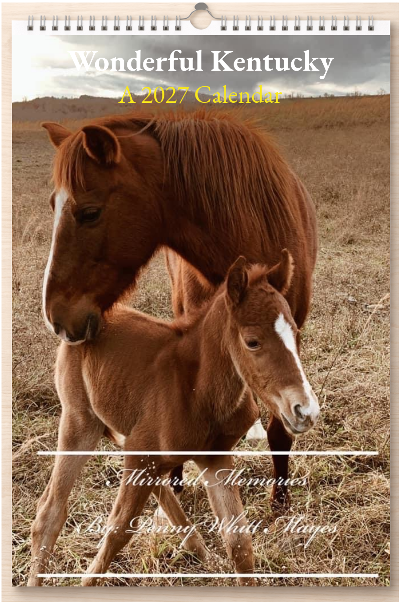 Wonderful Kentucky: A 2027 Calendar