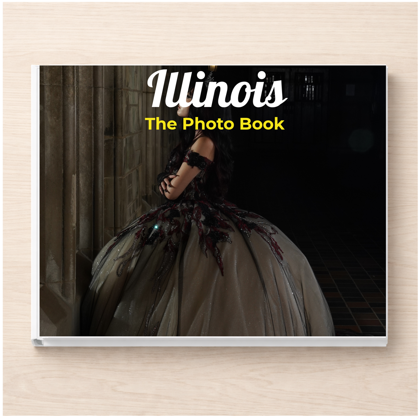 Illinois: The Photo Book
