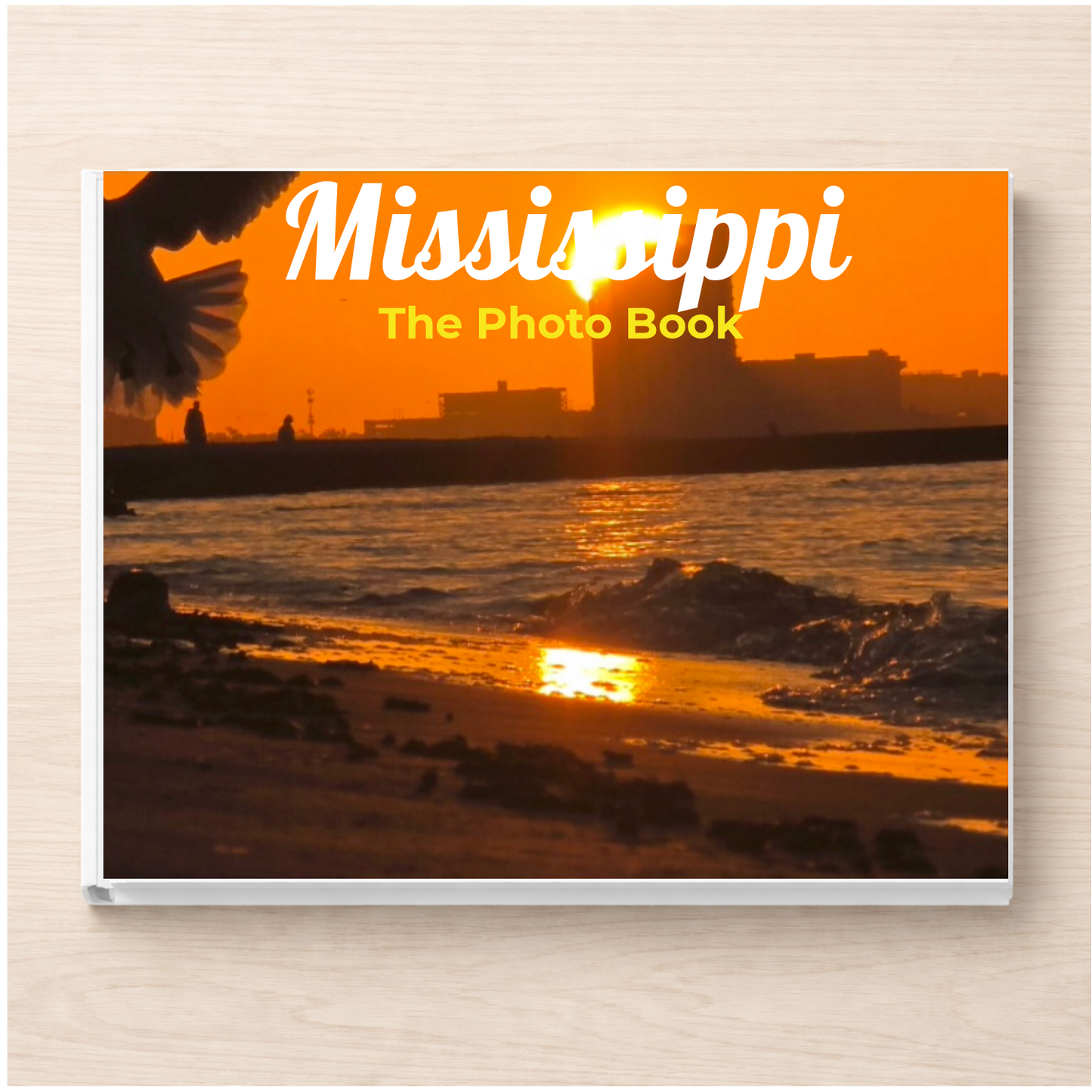 Mississippi: The Photo Book