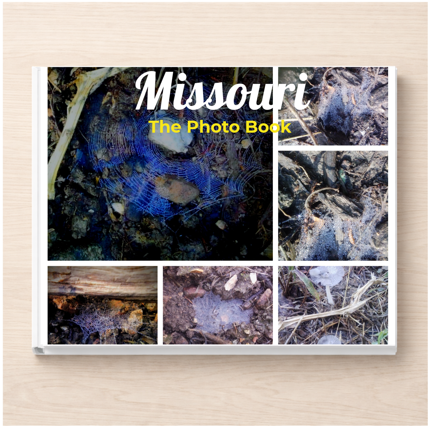 Missouri: The Photo Book