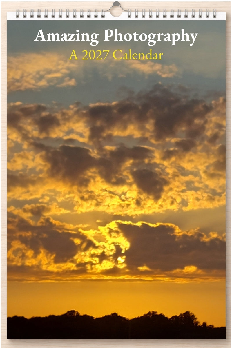 Amazing Photography: A 2027 Calendar