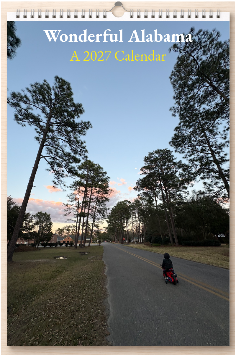 Wonderful Alabama: A 2027 Calendar