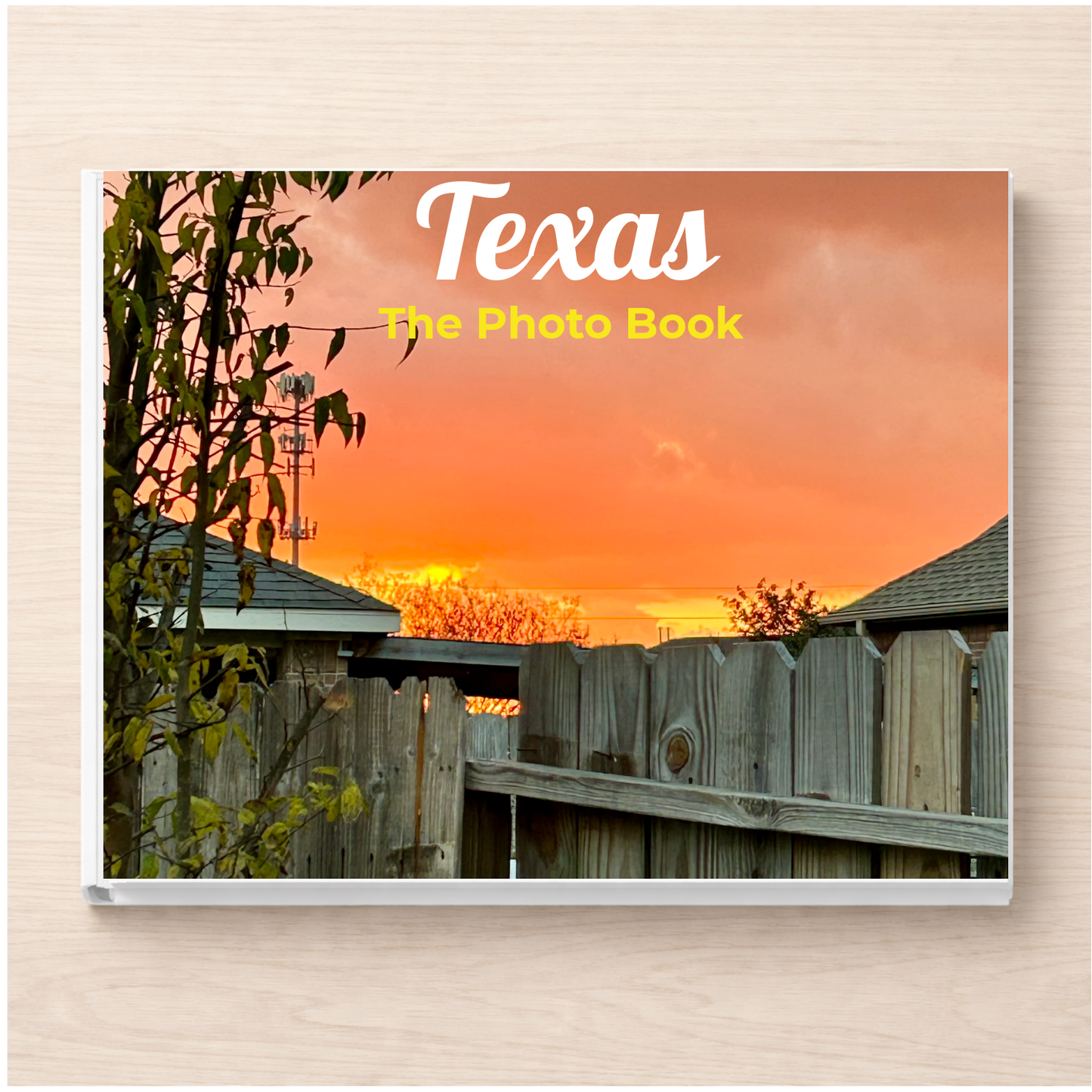 Texas: The Photo Book
