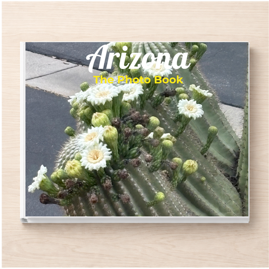 Arizona: The Photo Book