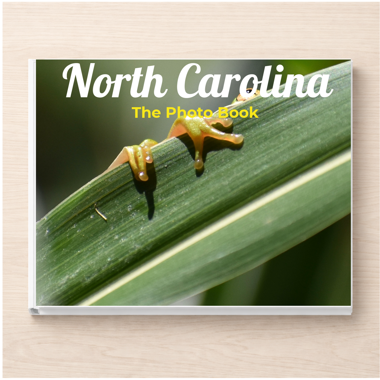 North Carolina: The Photo Book