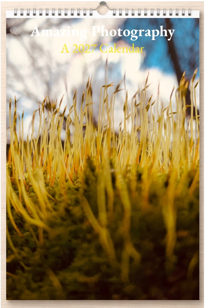 Amazing Photography: A 2027 Calendar