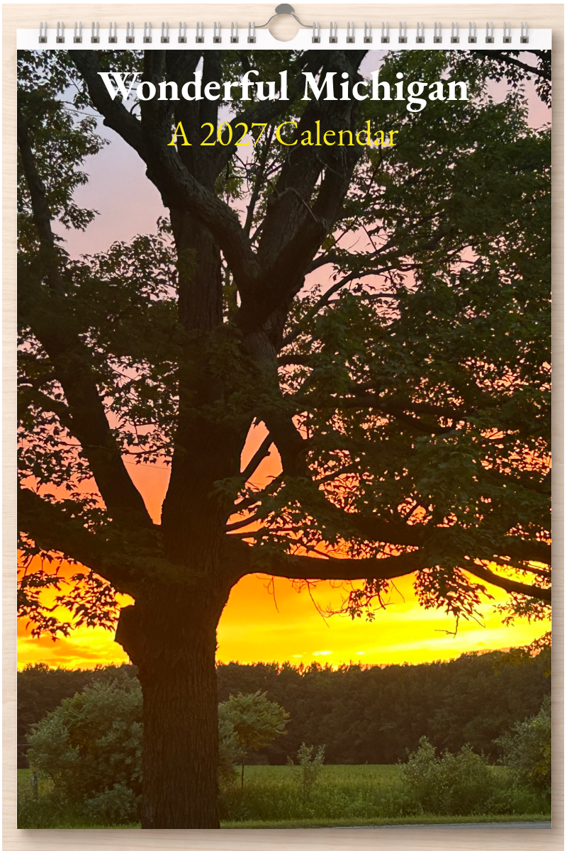 Wonderful Michigan: A 2027 Calendar
