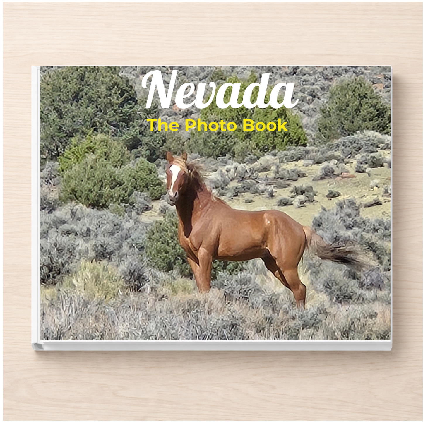Nevada: The Photo Book