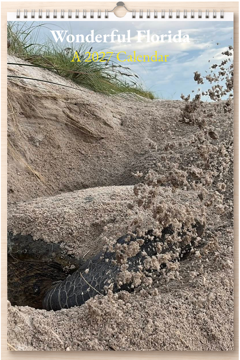 Wonderful Florida: A 2027 Calendar