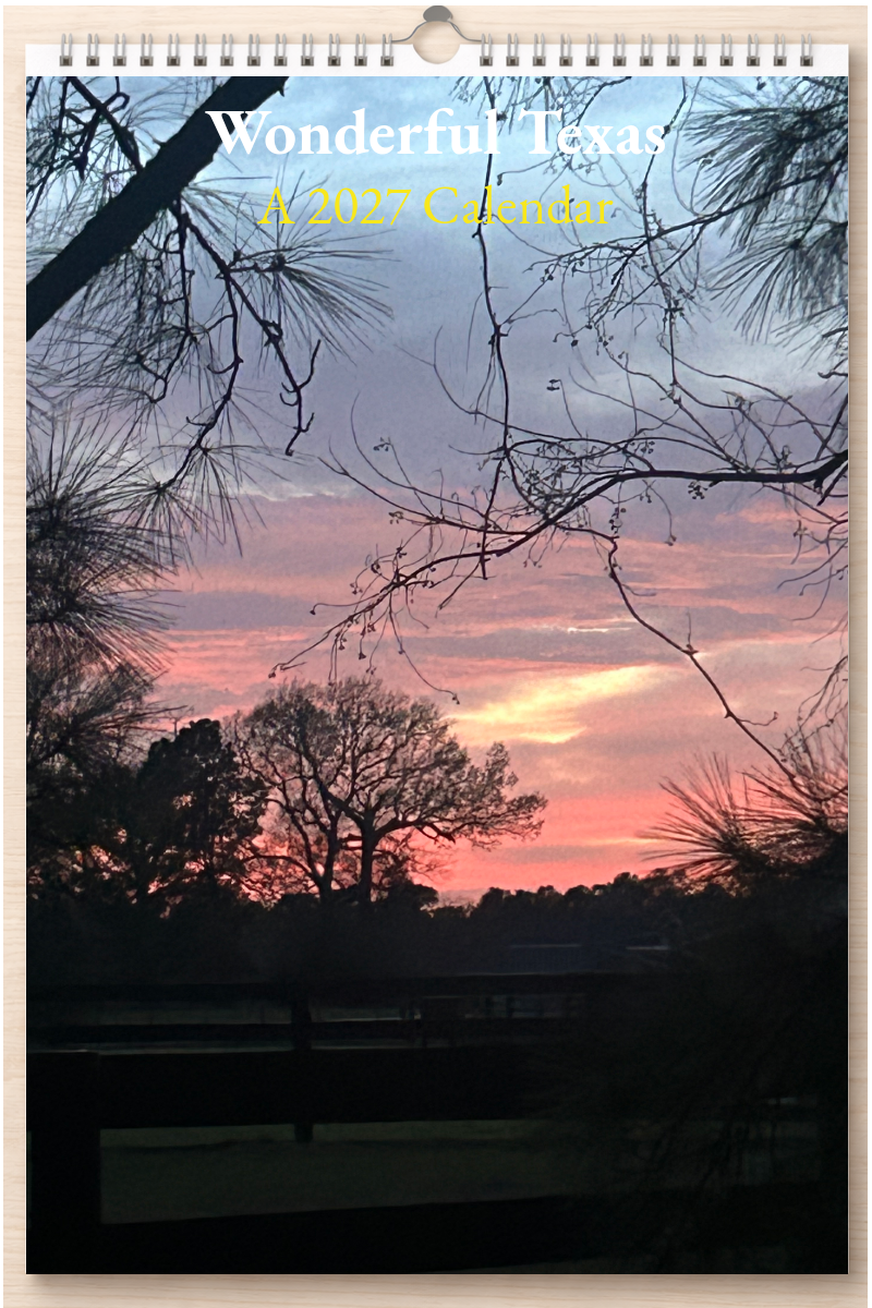 Wonderful Texas: A 2027 Calendar