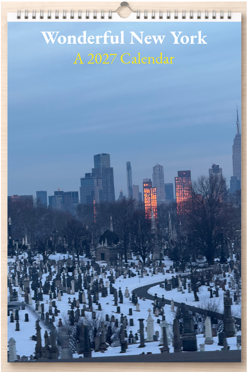 Wonderful New York: A 2027 Calendar