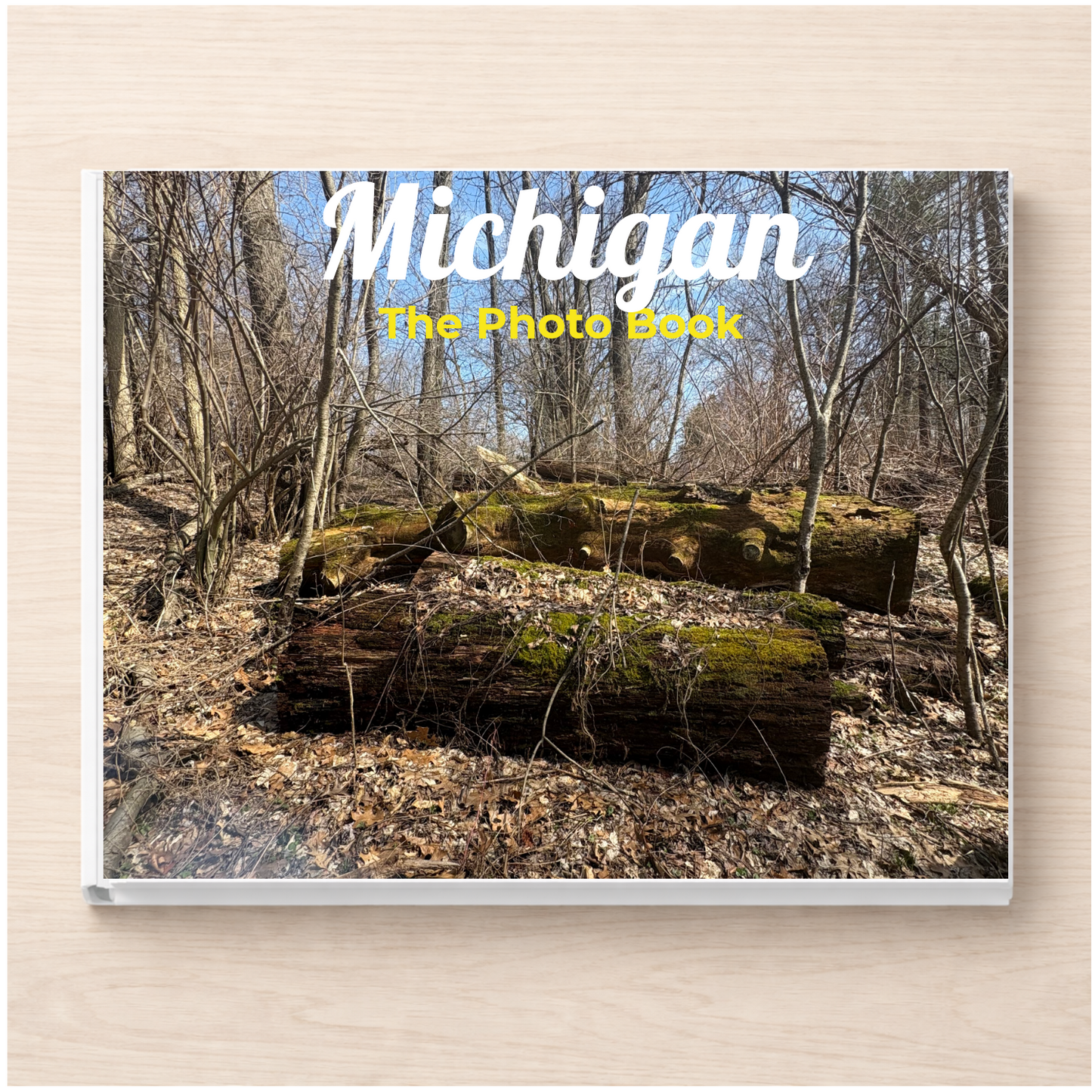 Michigan: The Photo Book