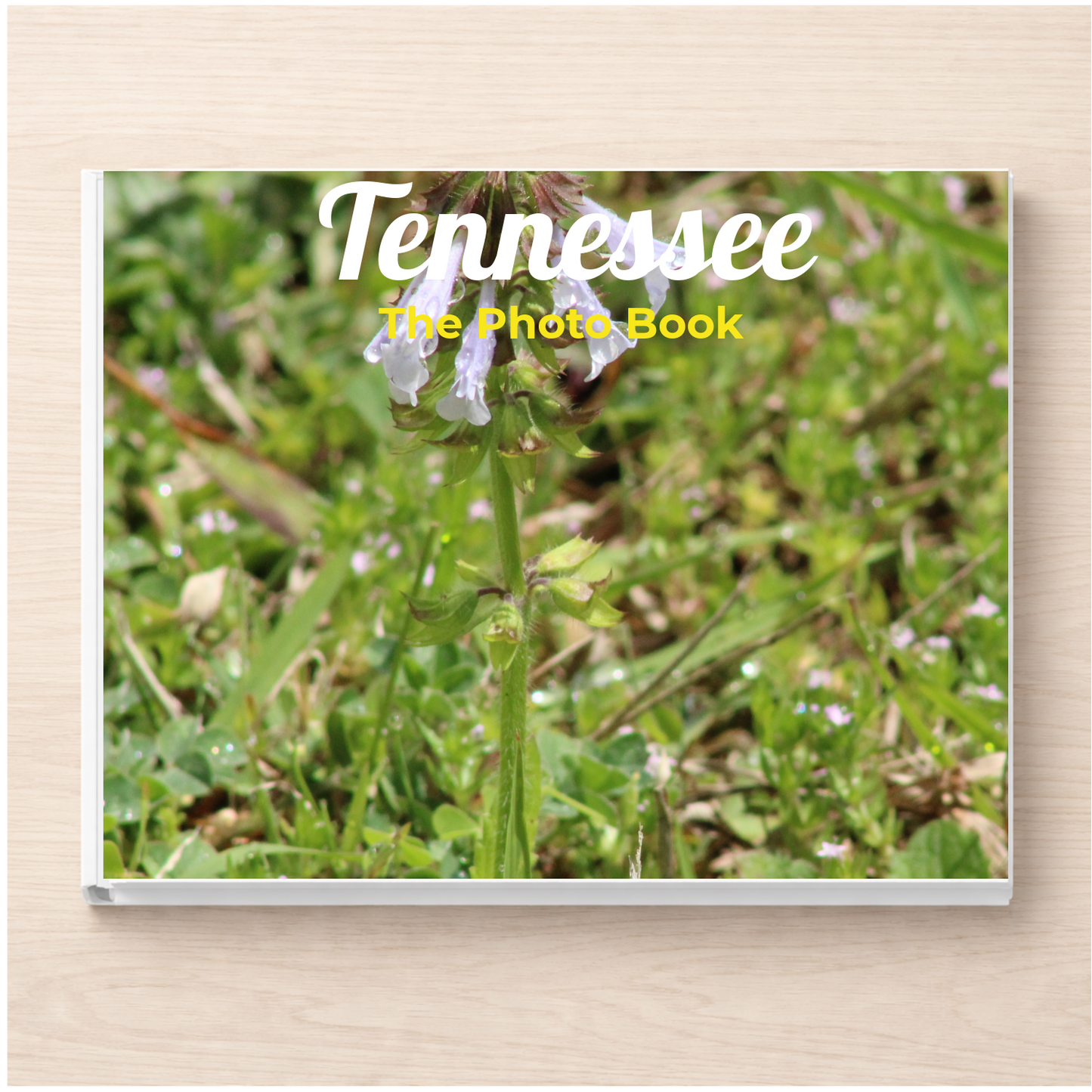 Tennessee: The Photo Book
