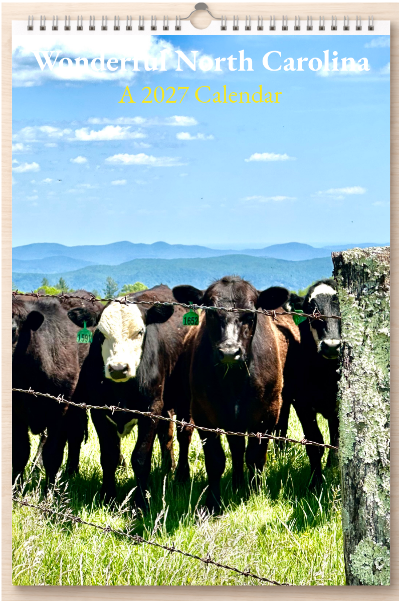 Wonderful North Carolina: A 2027 Calendar