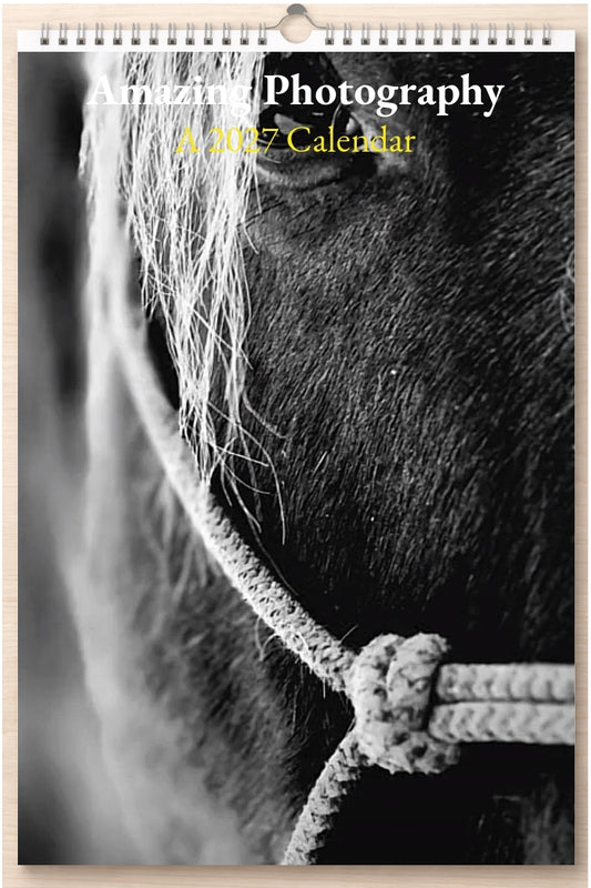 Amazing Photography: A 2027 Calendar