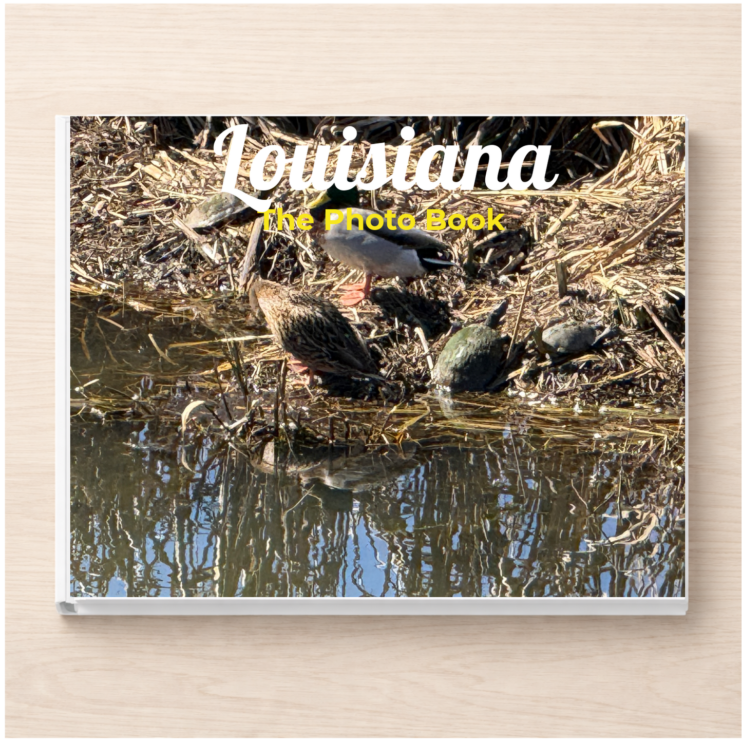 Louisiana: The Photo Book