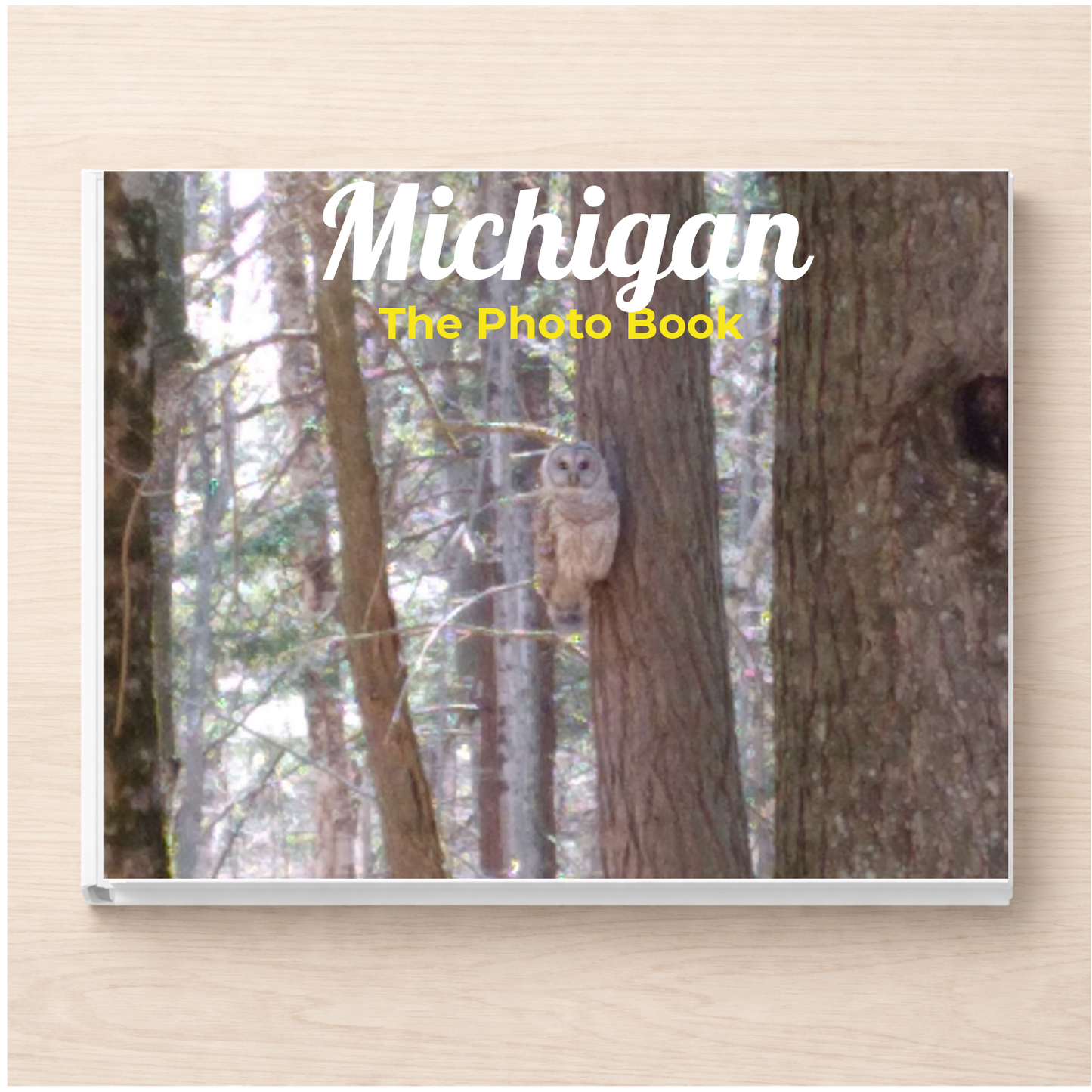 Michigan: The Photo Book