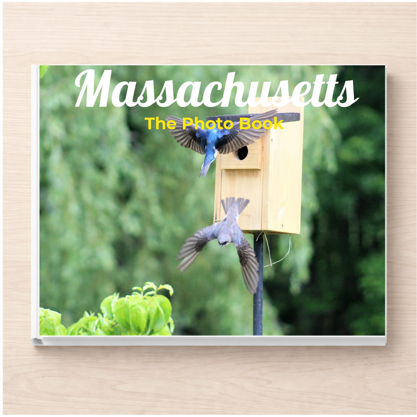 Massachusetts: The Photo Book