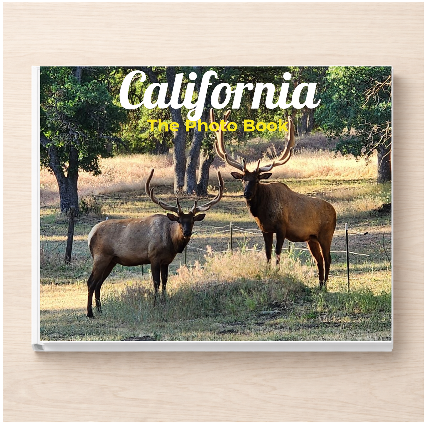 California: The Photo Book