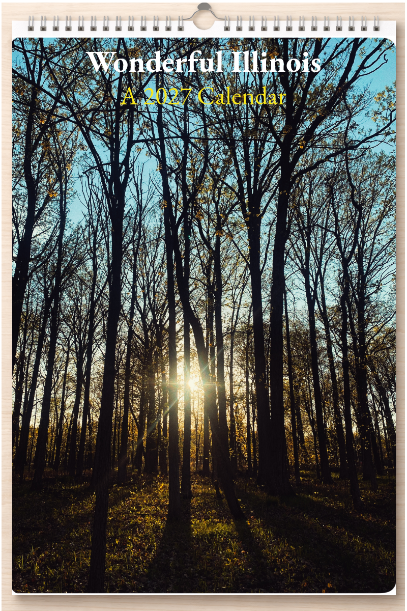 Wonderful Illinois: A 2027 Calendar