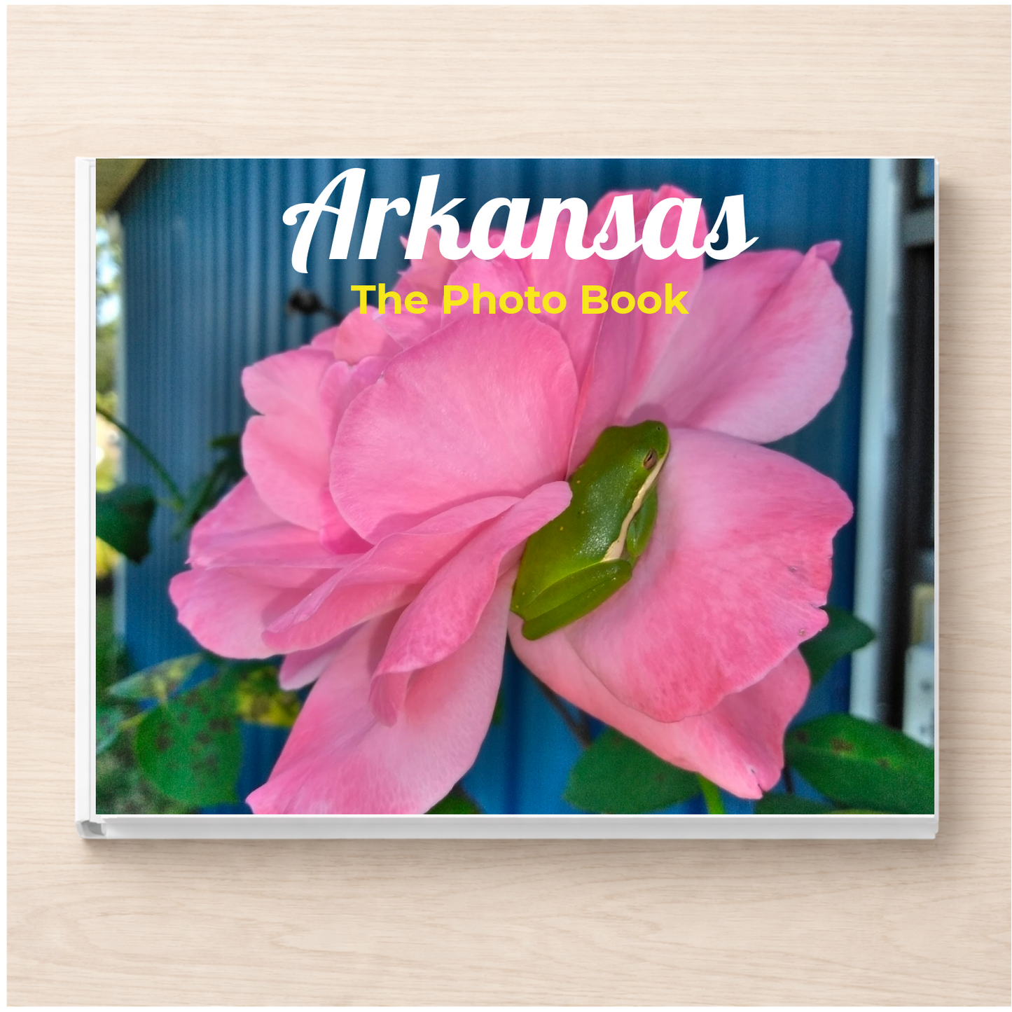 Arkansas: The Photo Book