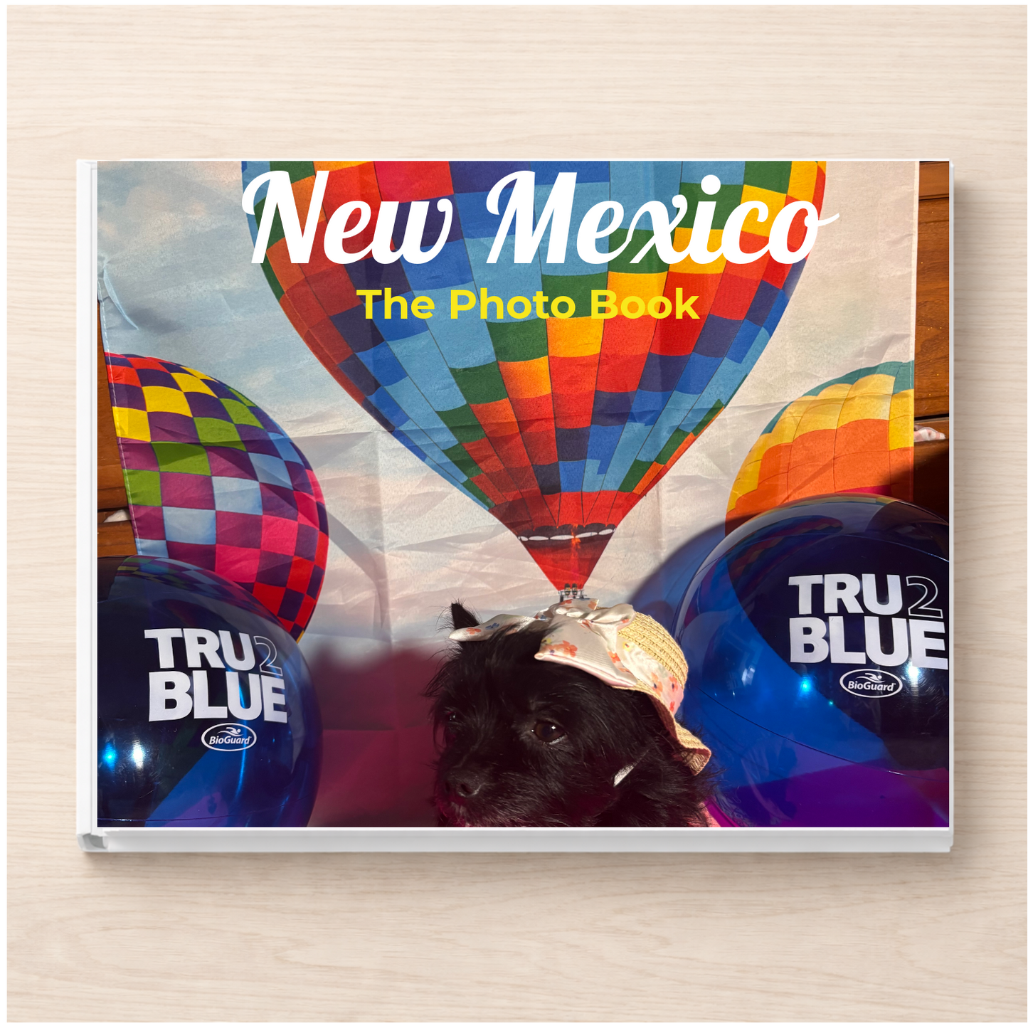 New Mexico: The Photo Book