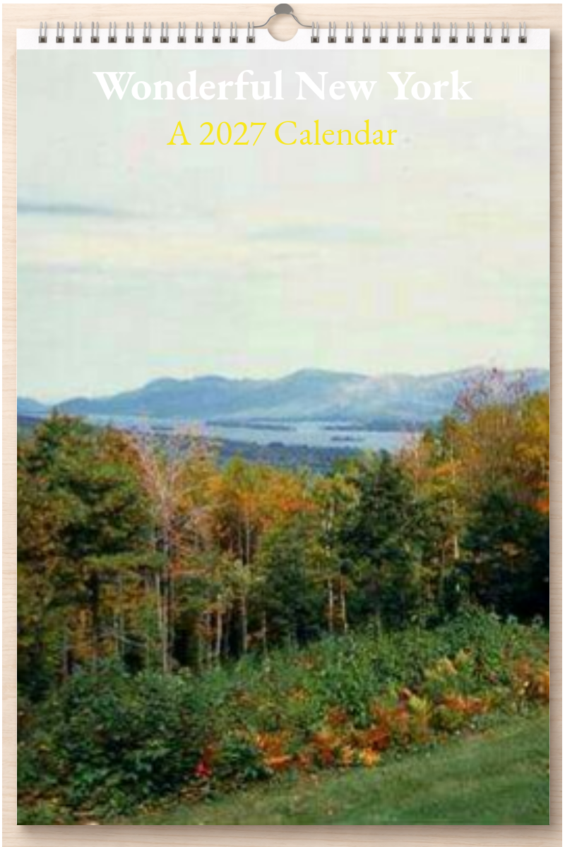 Wonderful New York: A 2027 Calendar