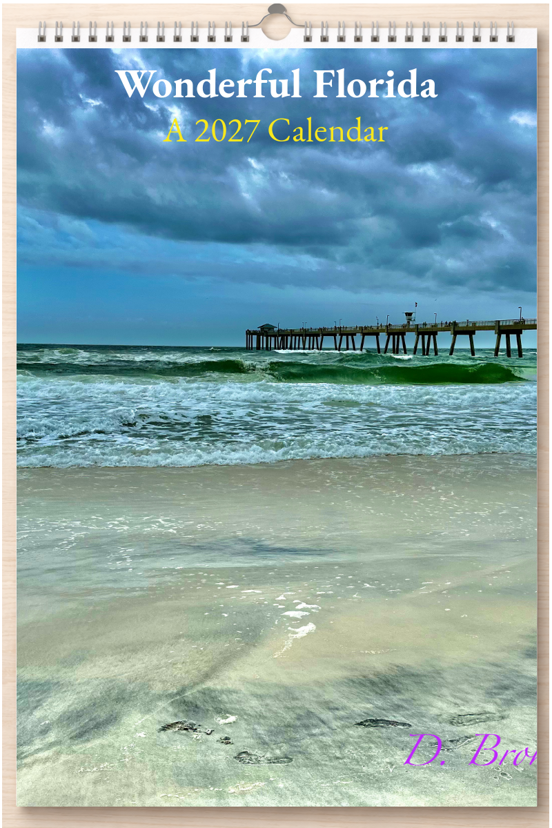 Wonderful Florida: A 2027 Calendar