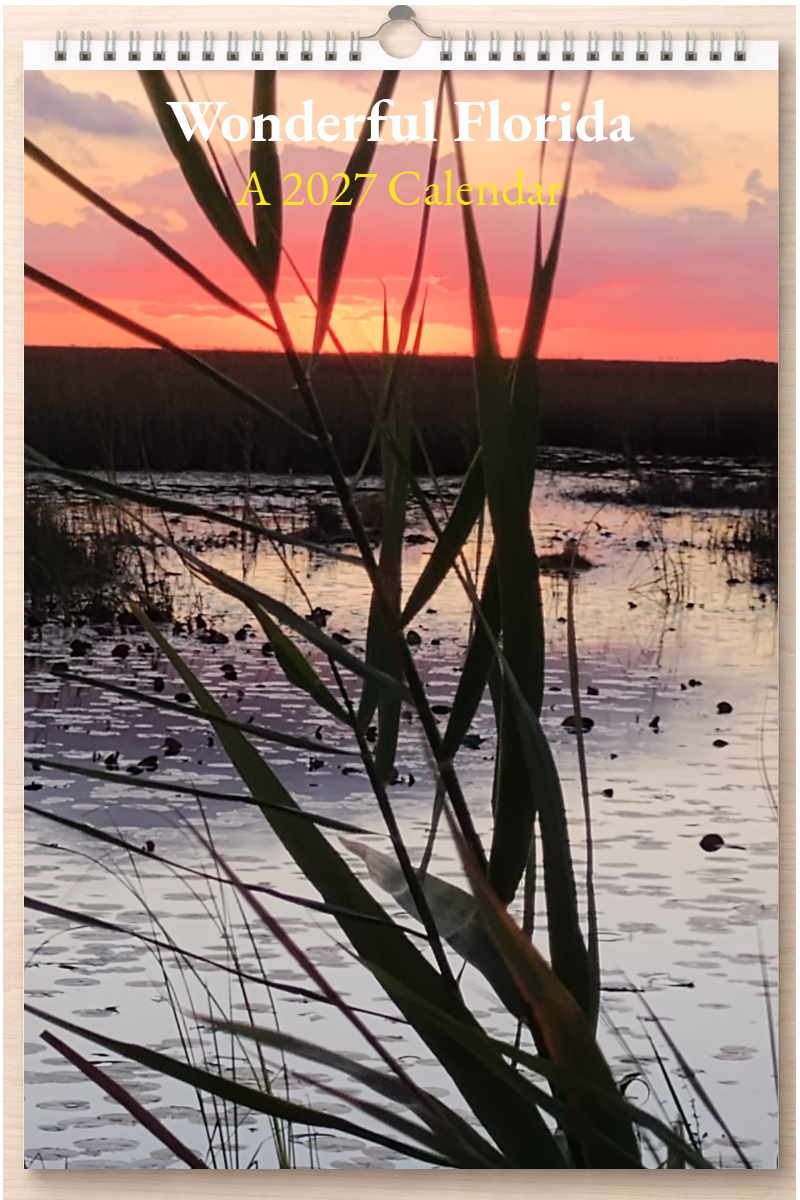 Wonderful Florida: A 2027 Calendar