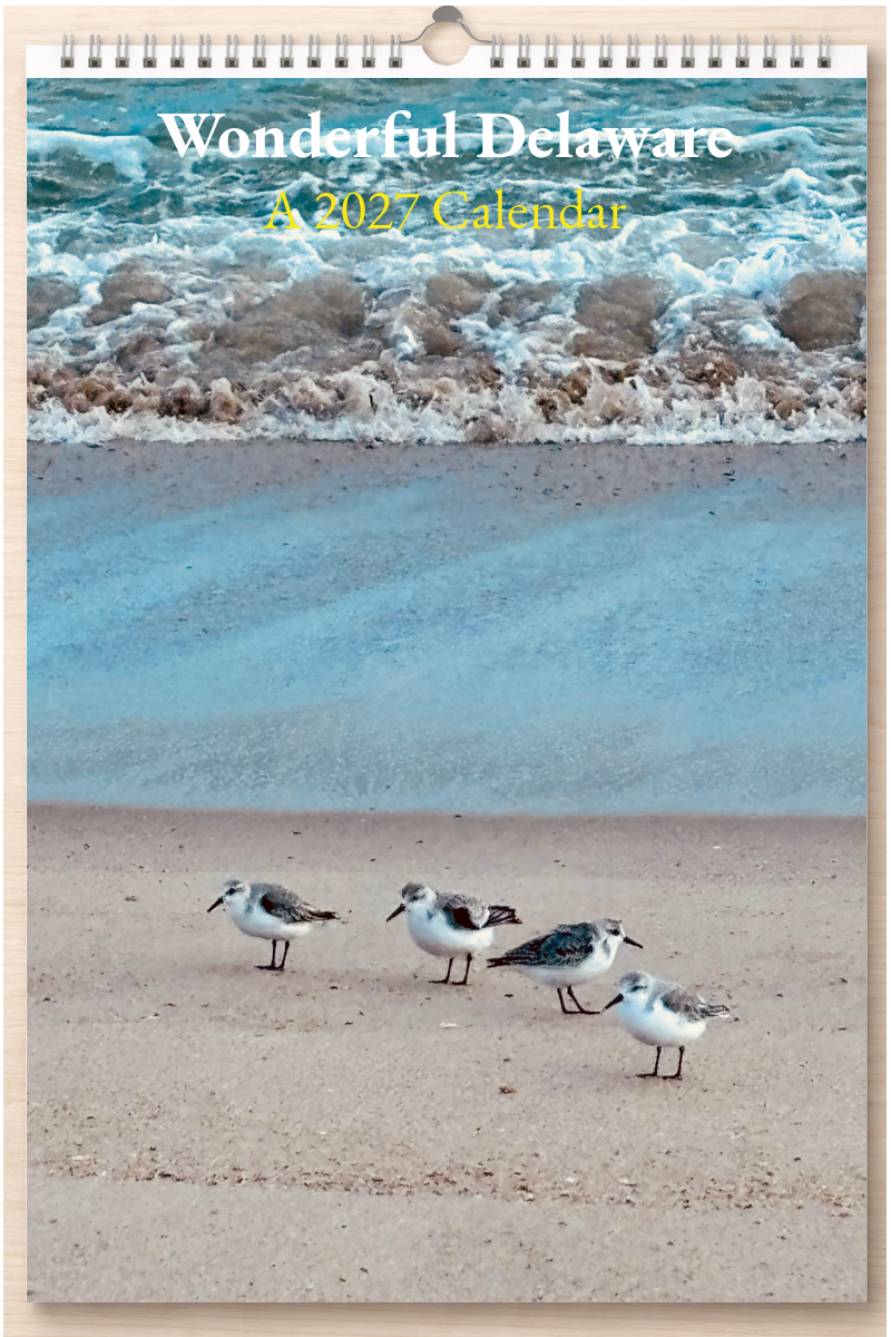 Wonderful Delaware: A 2027 Calendar