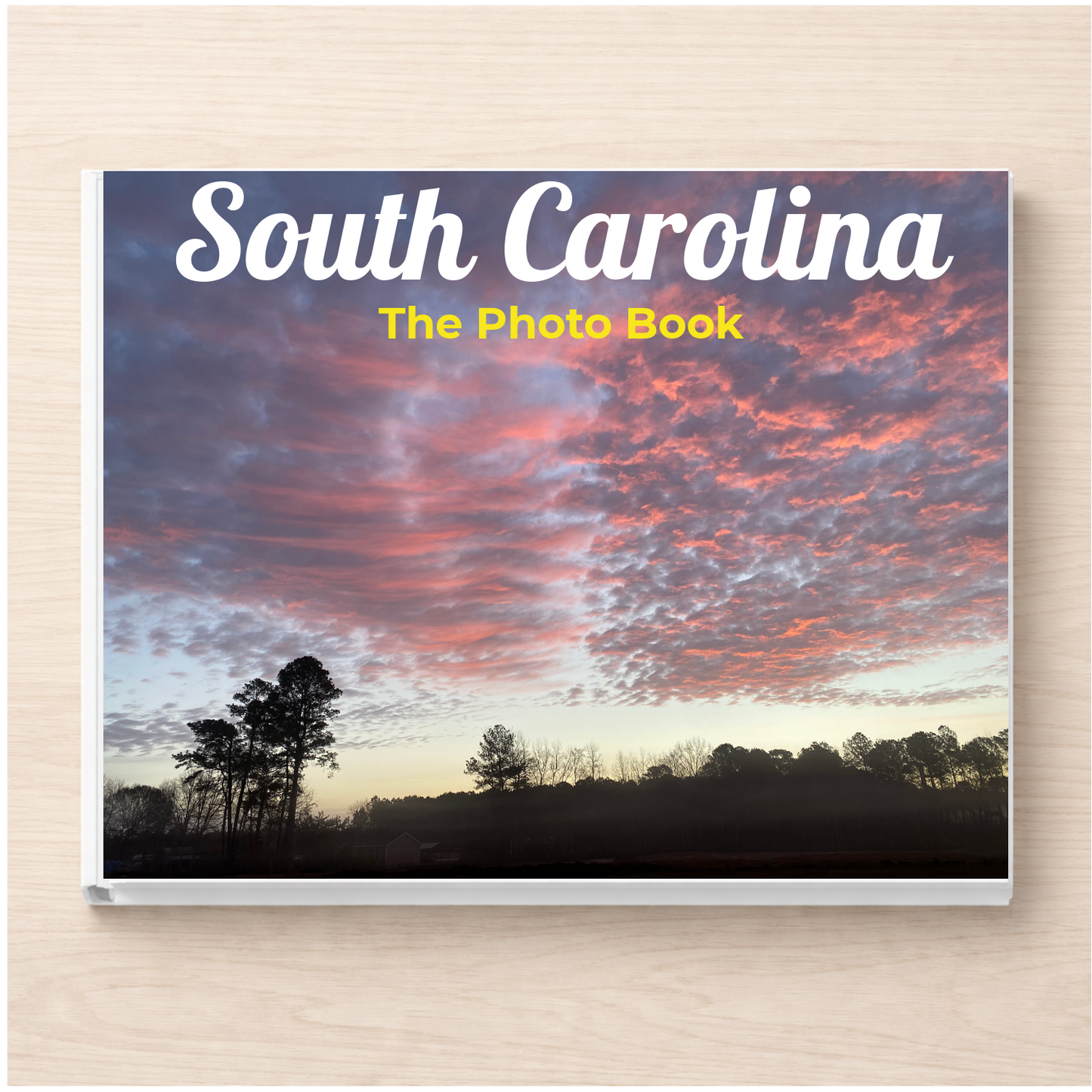 South Carolina: The Photo Book