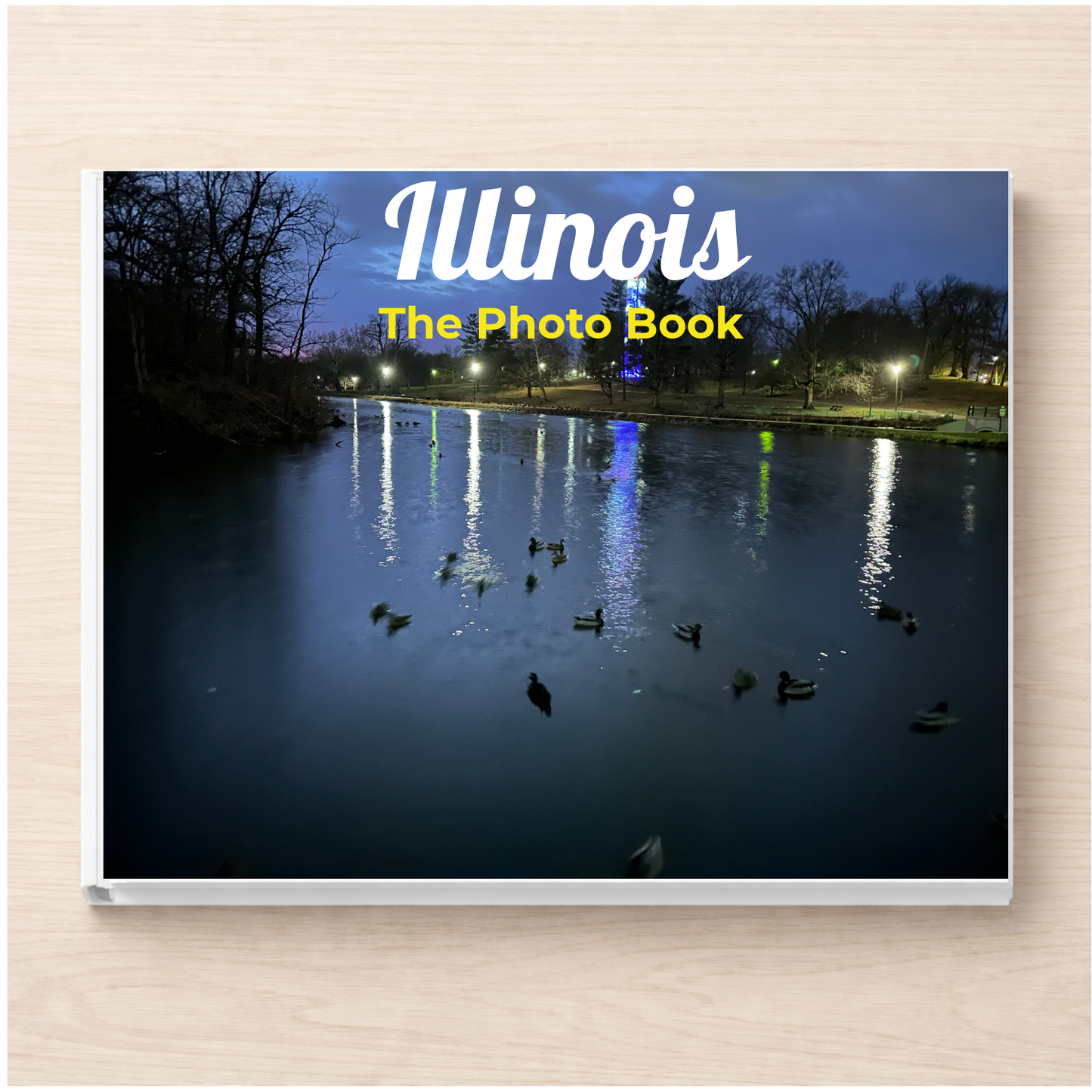 Illinois: The Photo Book
