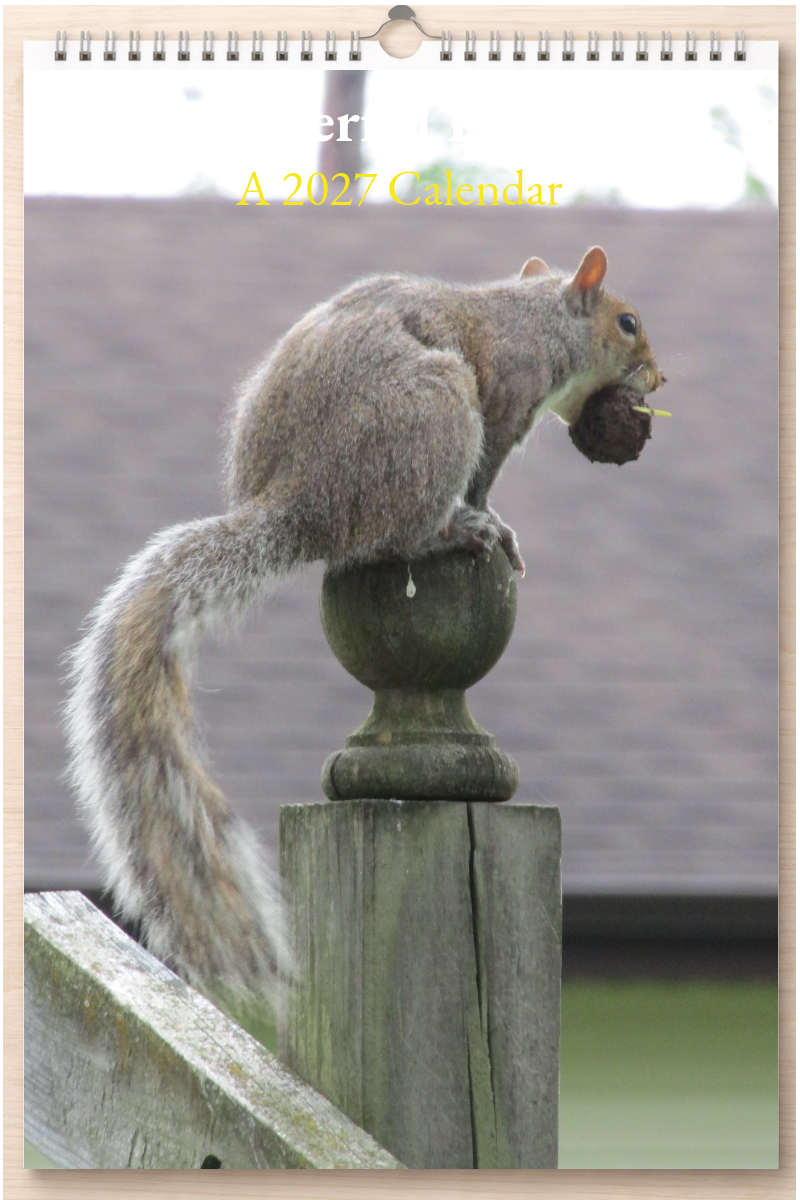 Wonderful Indiana: A 2027 Calendar