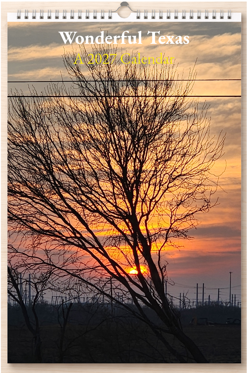 Wonderful Texas: A 2027 Calendar