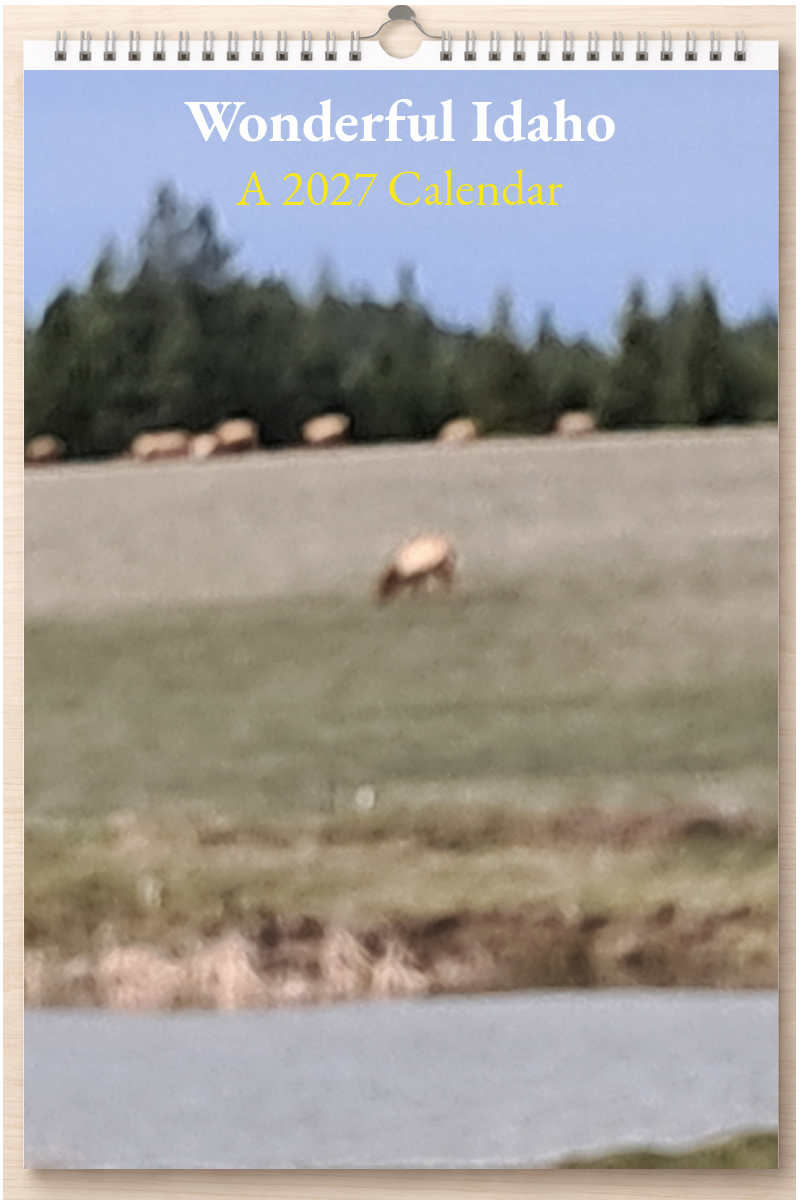 Wonderful Idaho: A 2027 Calendar