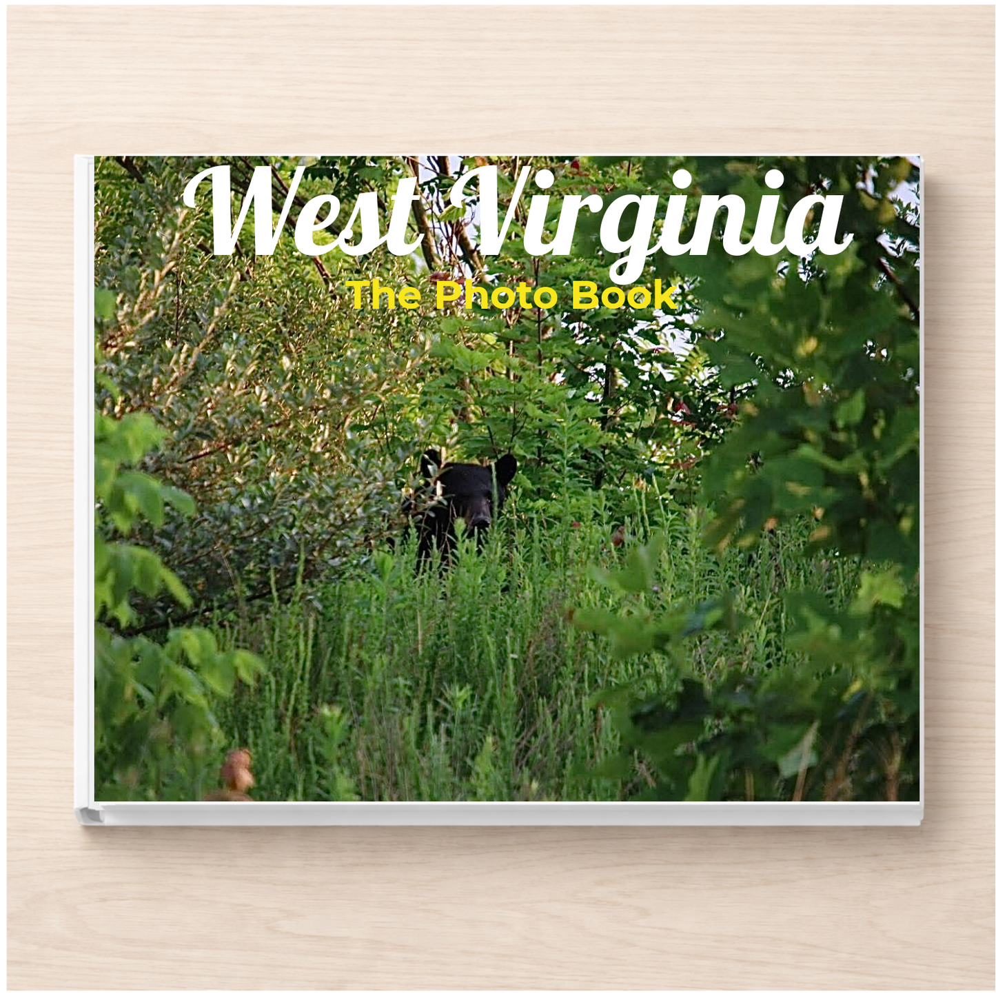 West Virginia: The Photo Book