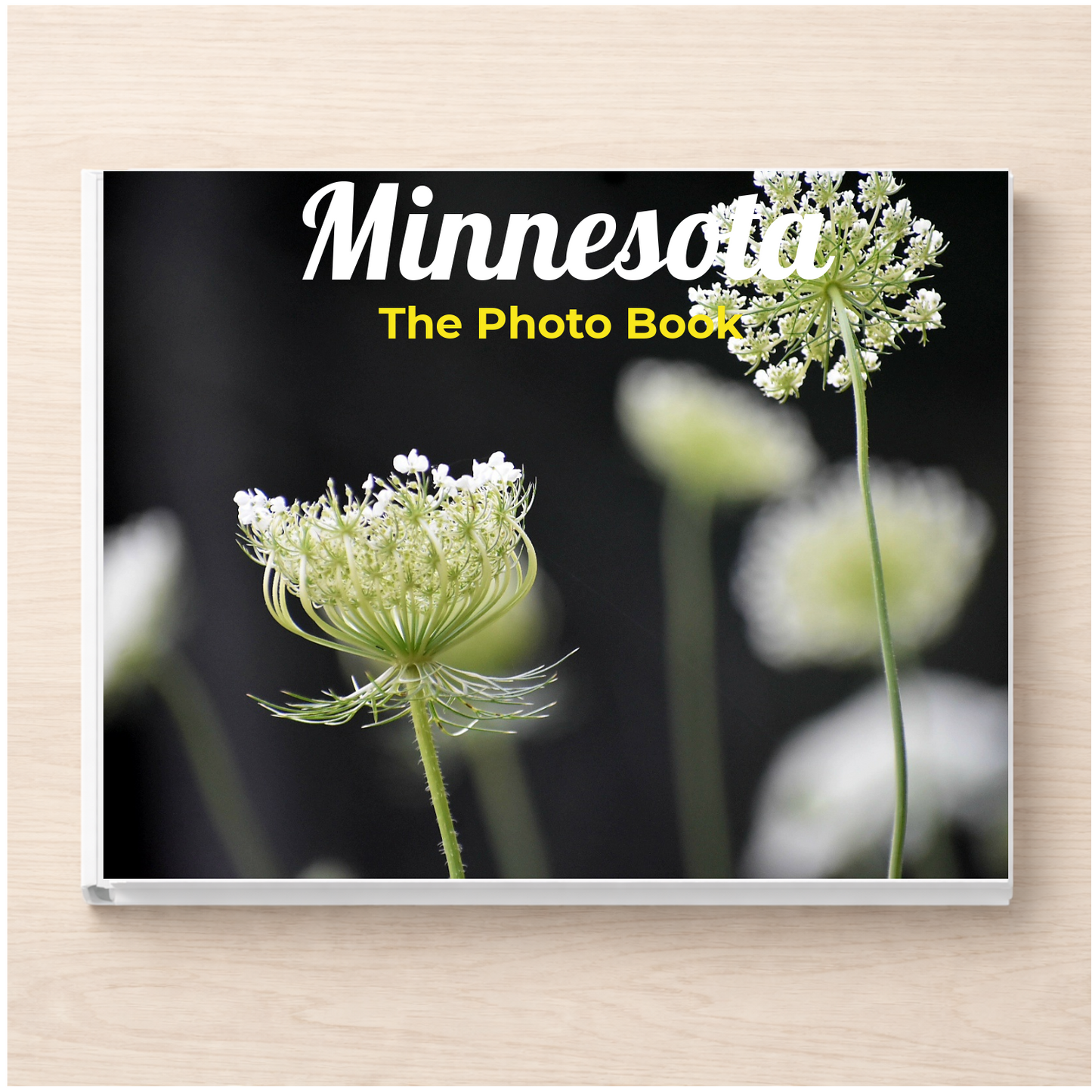 Minnesota: The Photo Book