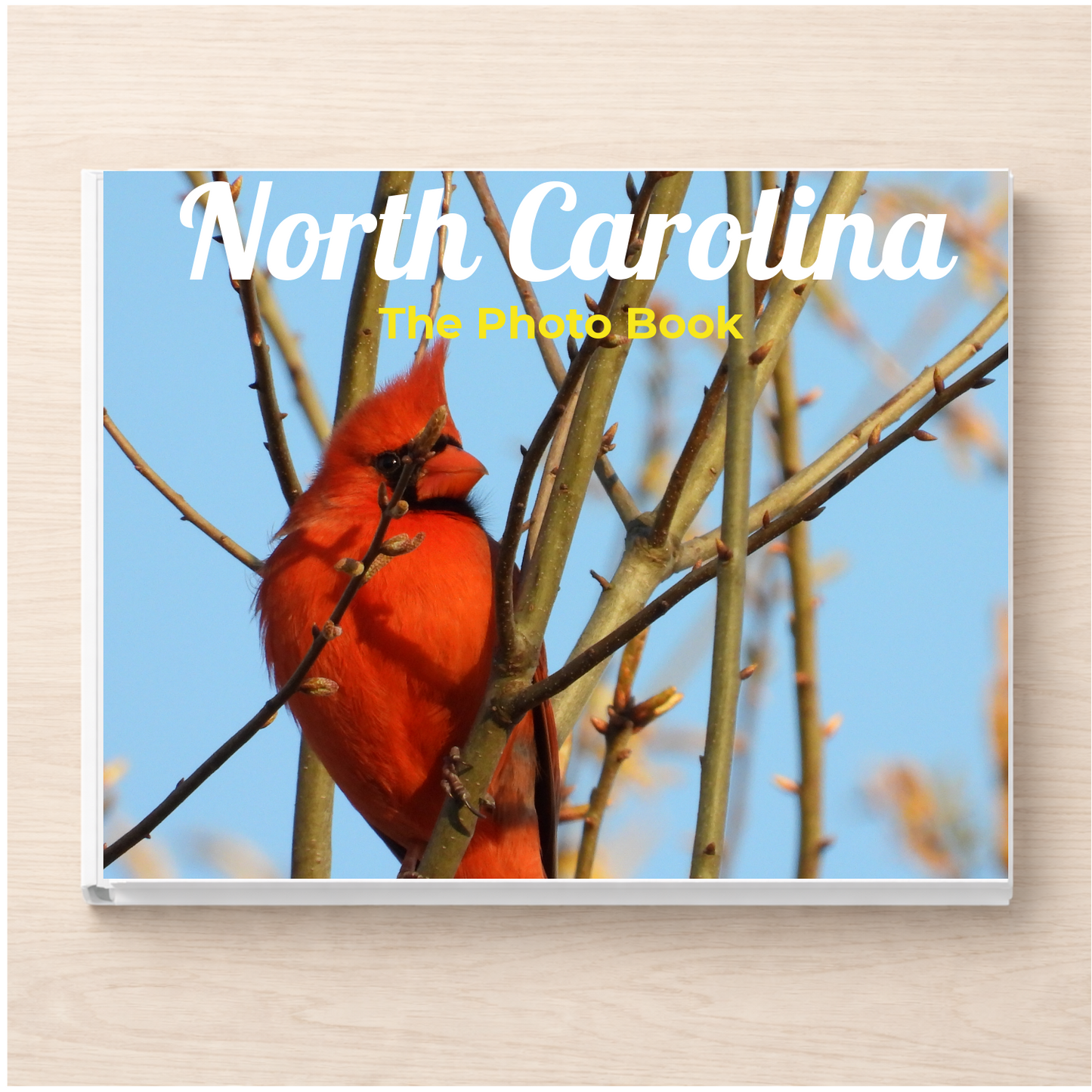 North Carolina: The Photo Book