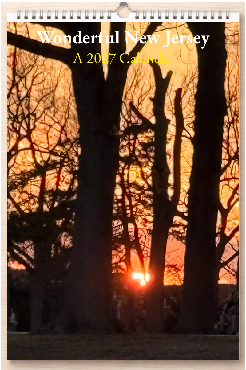 Wonderful New Jersey: A 2027 Calendar