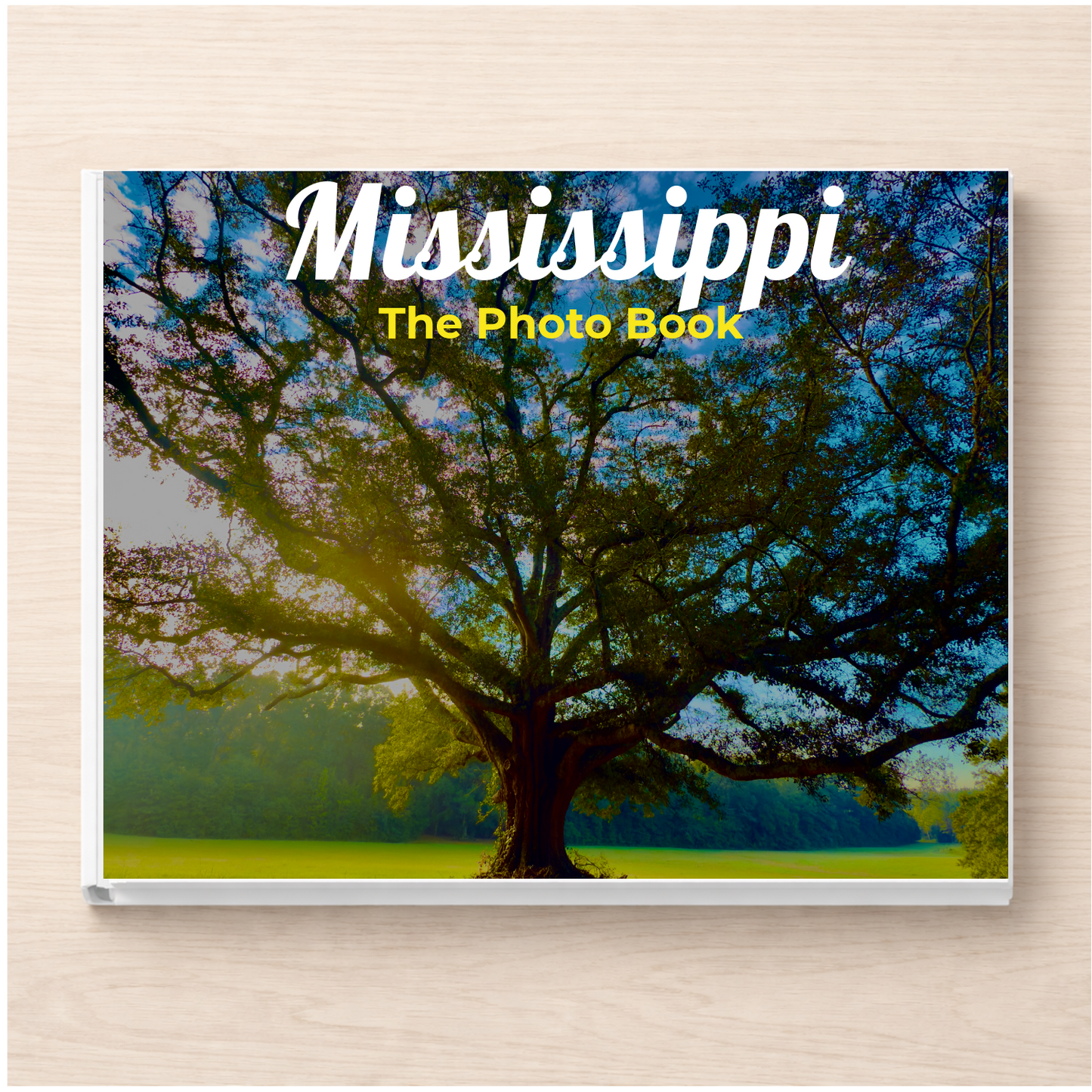 Mississippi: The Photo Book