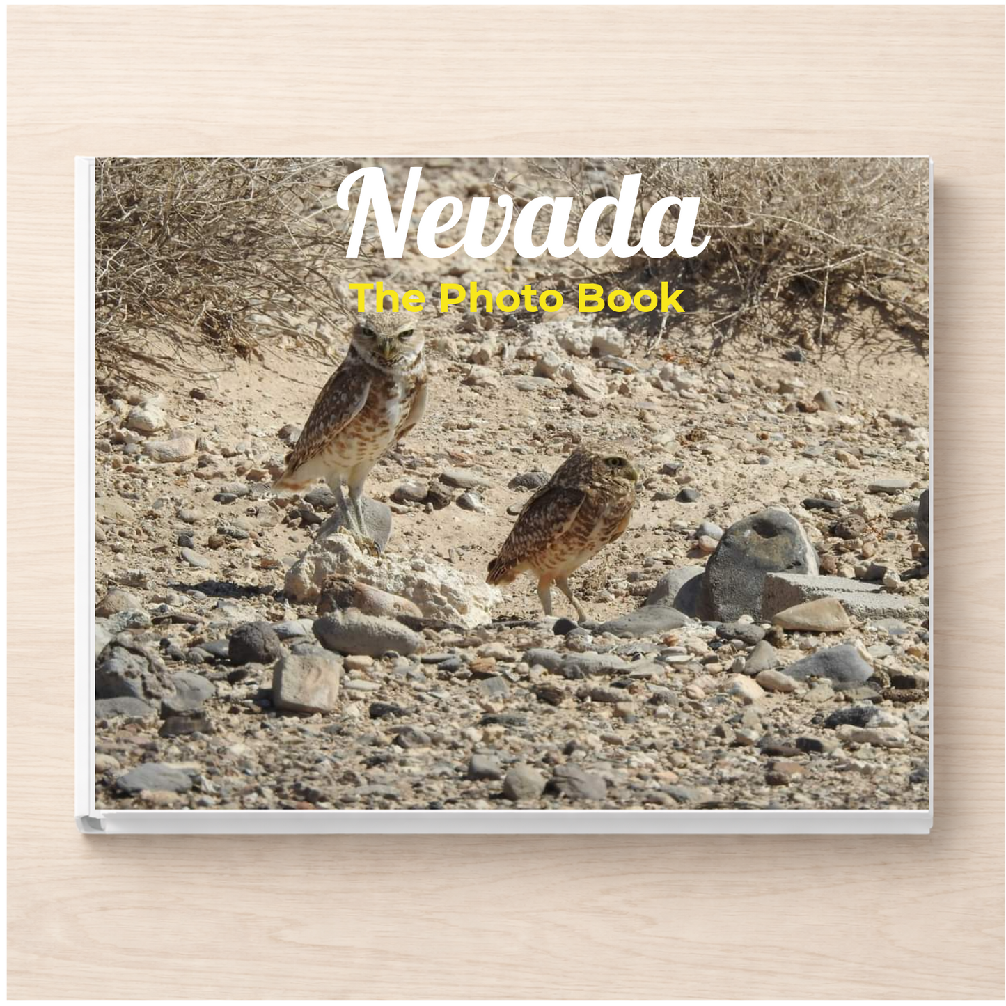 Nevada: The Photo Book