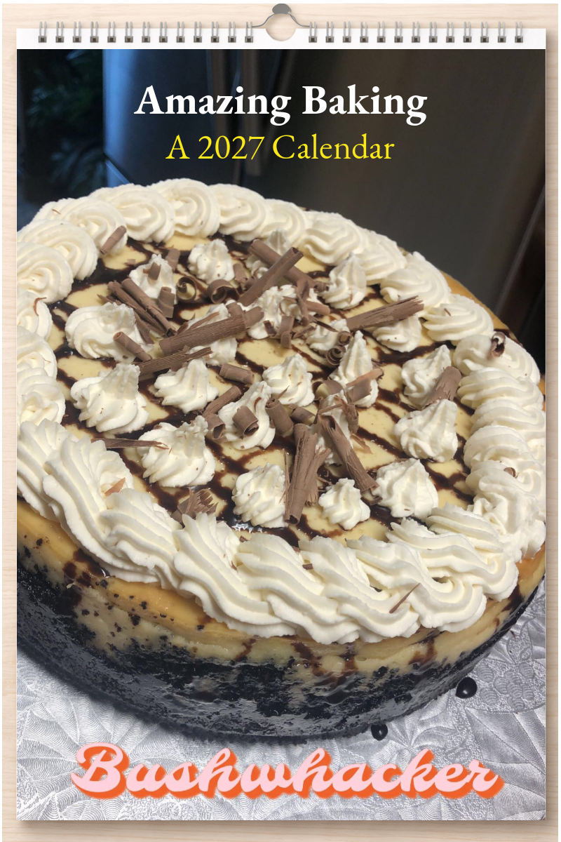 Amazing Baking: A 2027 Calendar