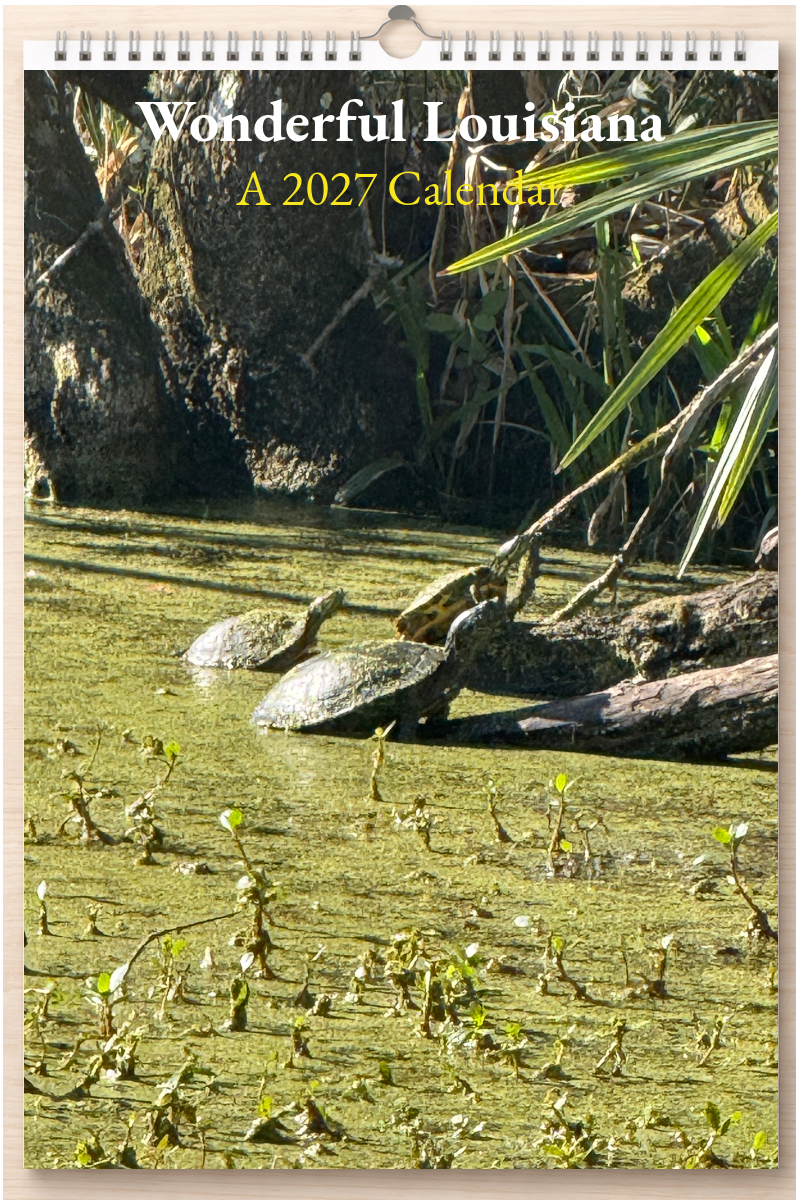Wonderful Louisiana: A 2027 Calendar