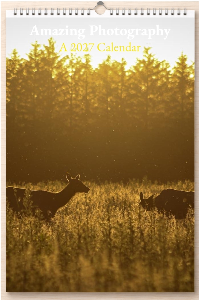 Amazing Photography: A 2027 Calendar