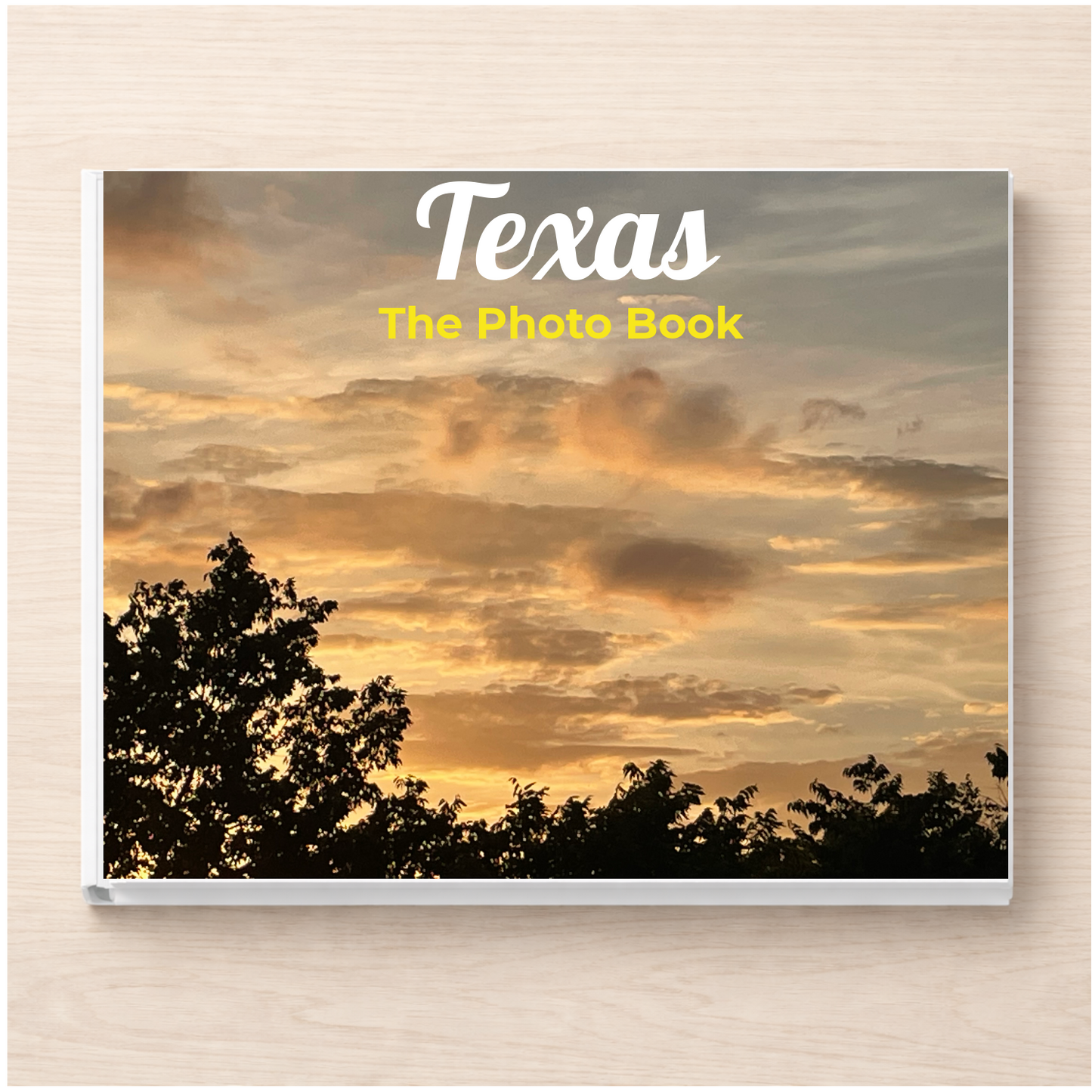 Texas: The Photo Book