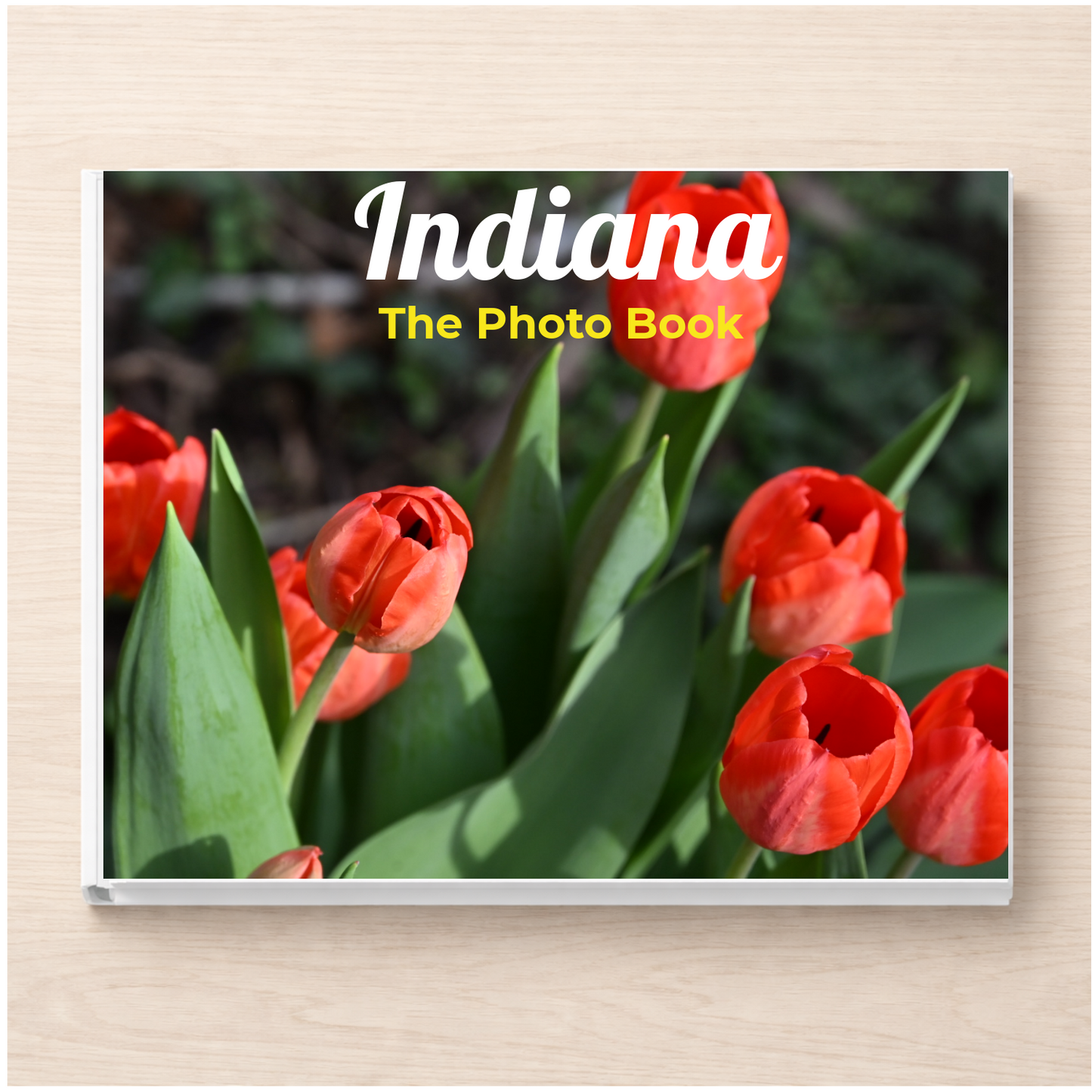 Indiana: The Photo Book