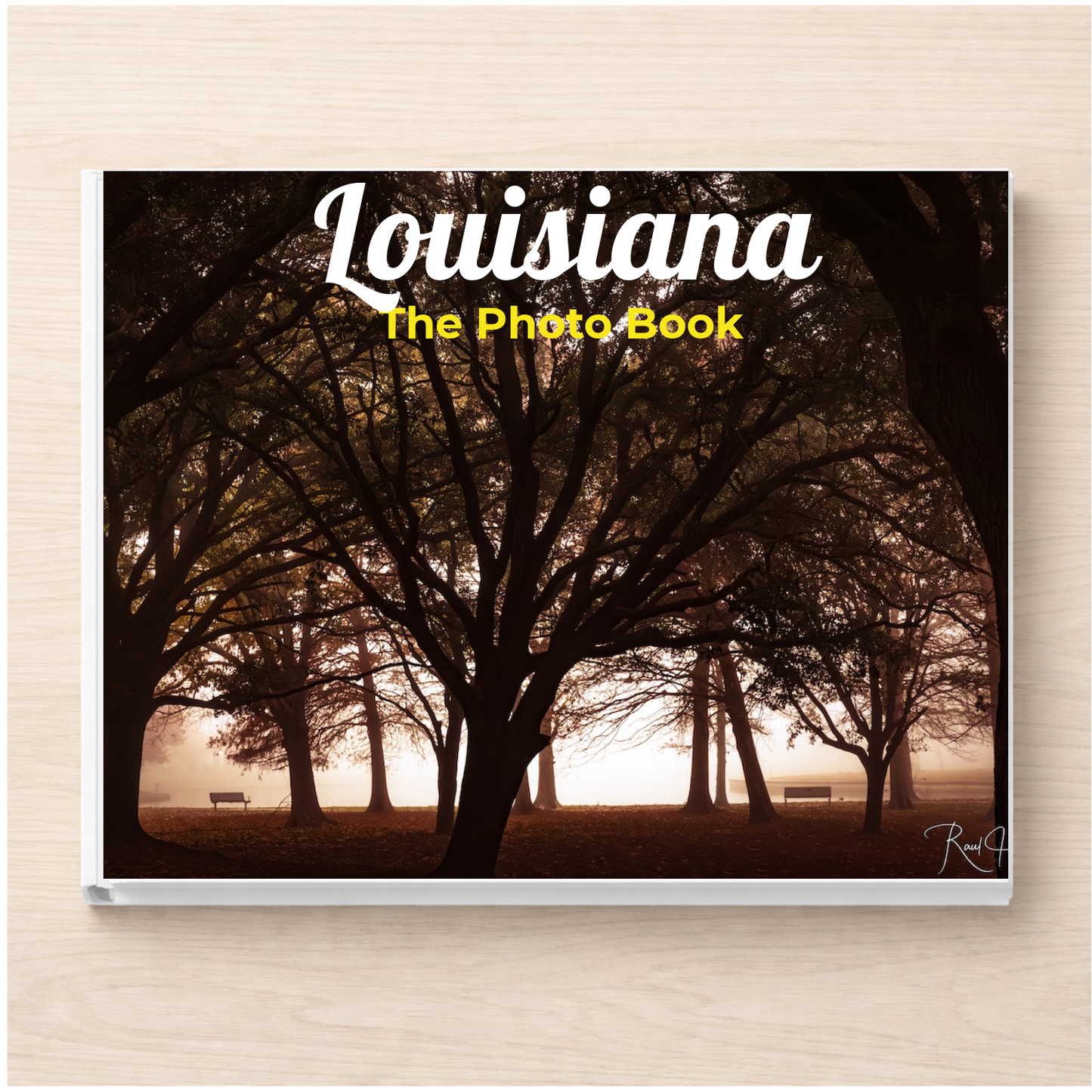 Louisiana: The Photo Book